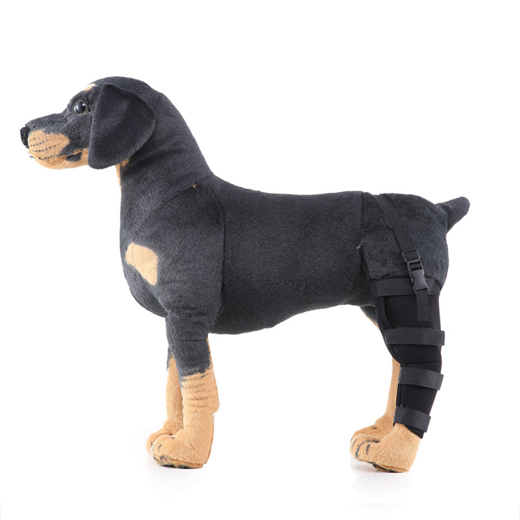 Dog hind leg knee pads