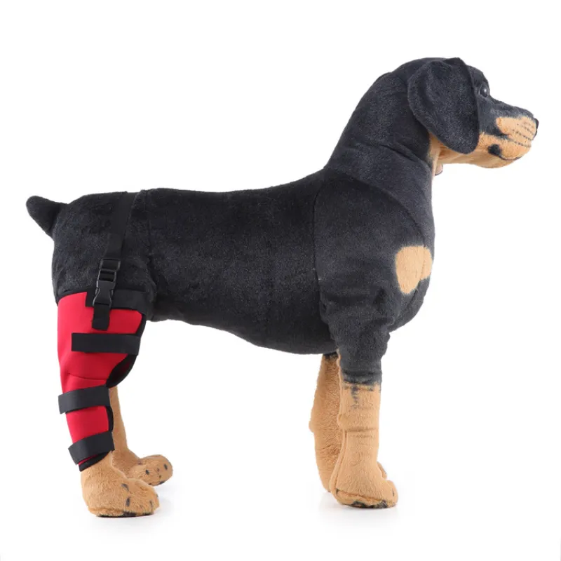 Dog Knee Braces For Back Legs04