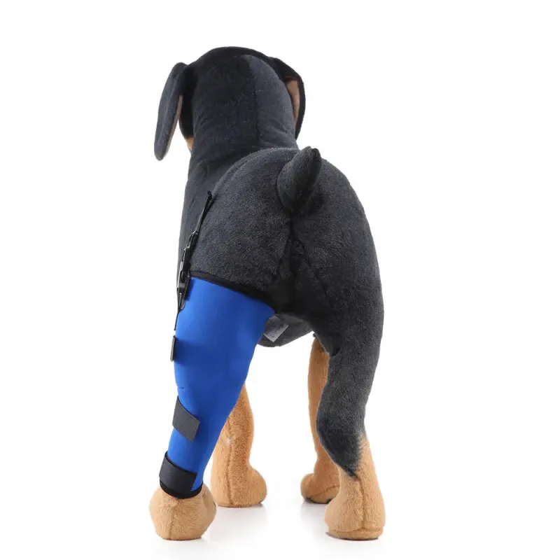 Dog Knee Braces For Back Legs01