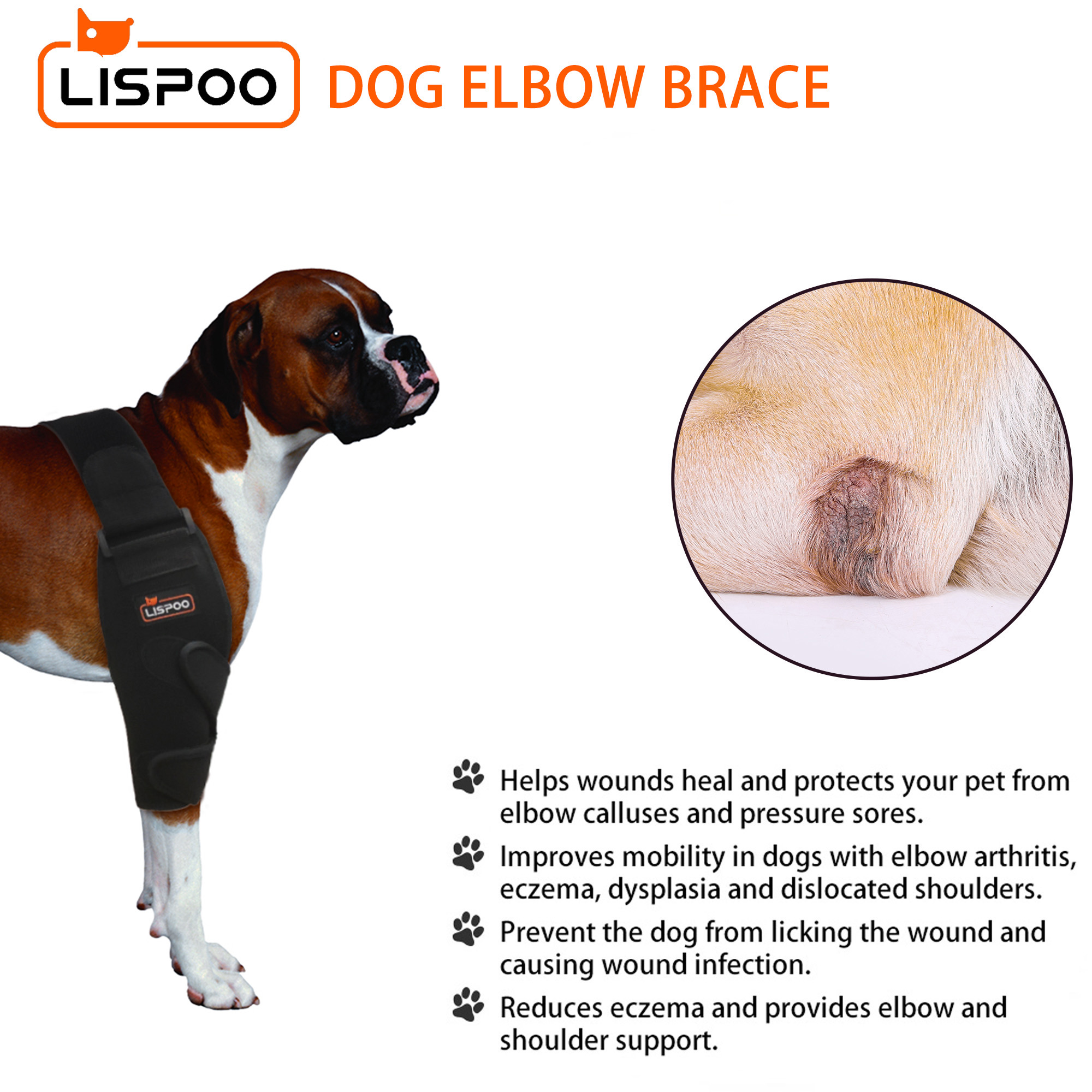 Dog arthritis elbow hot sale brace