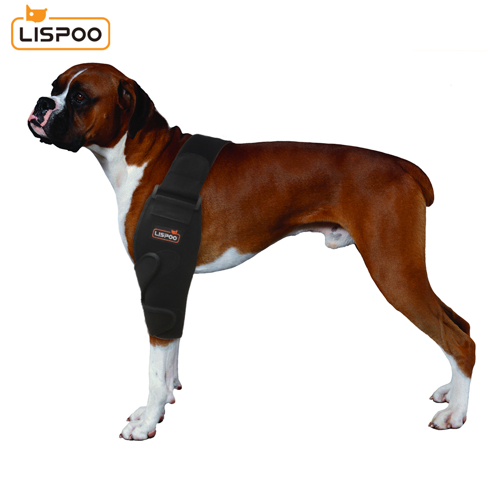 Dog Elbow Support For Elbow Arthritis