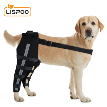 Dog Acl Braces Fix Joint Damage Knee Braces for Dogs