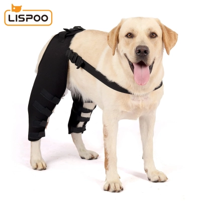 Dog Leg Brace For Acl Injury 01