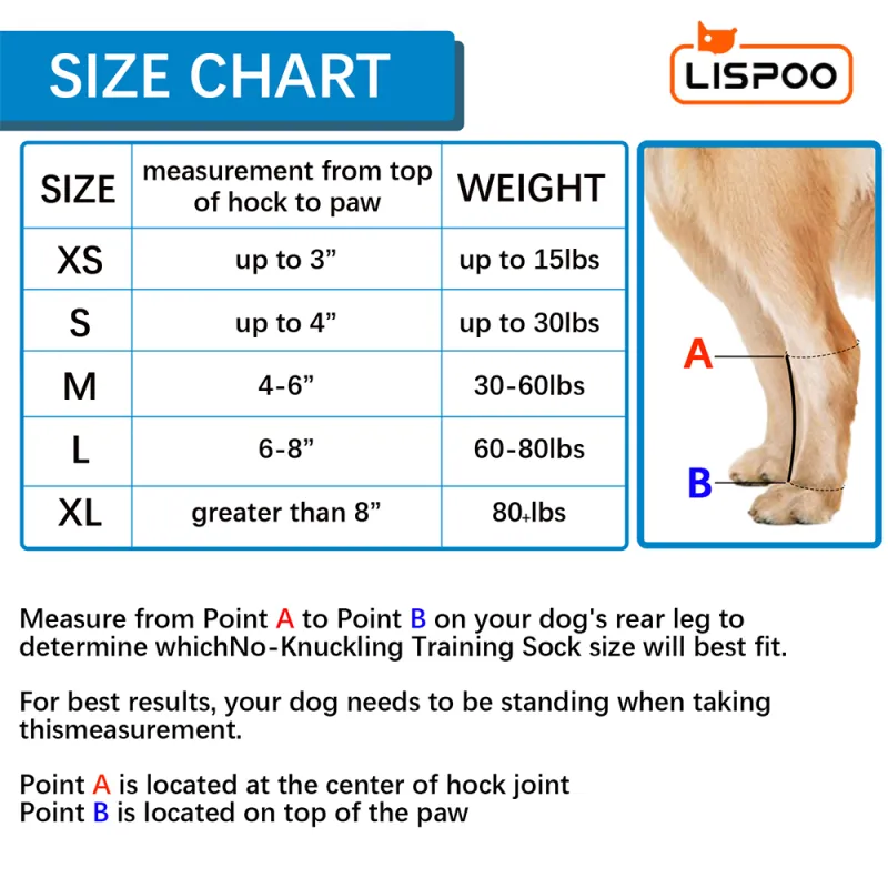 LISPOO Rear No Knuckling Training Sock For Dogs04