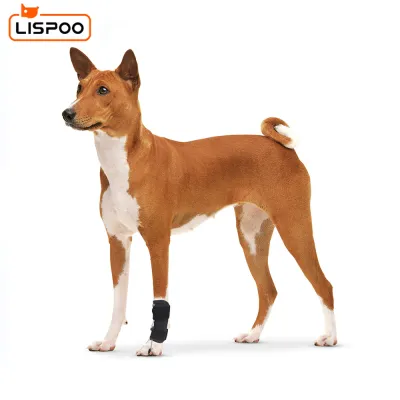 LISPOO Dog Front Leg No Knuckling Training Sock 02