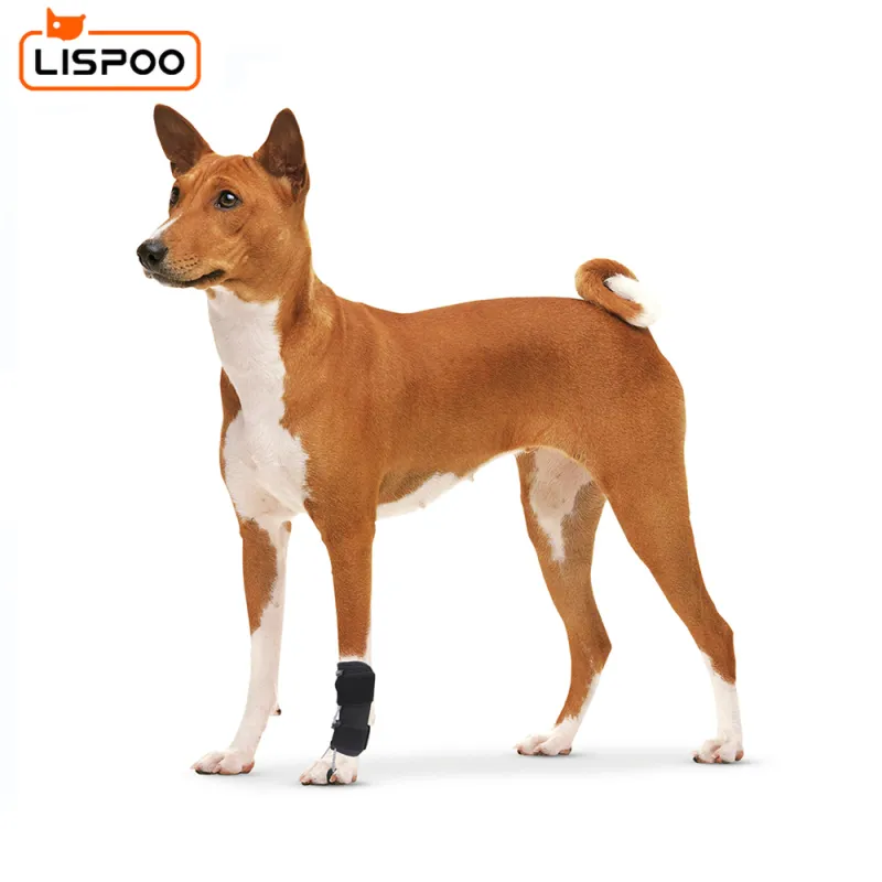 LISPOO Dog Front Leg No Knuckling Training Sock01
