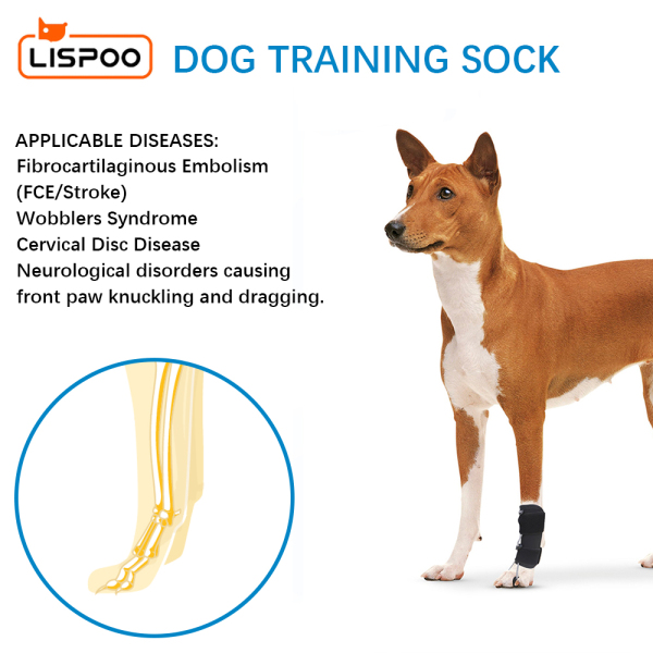 LISPOO Dog Front Leg No Knuckling Training Sock