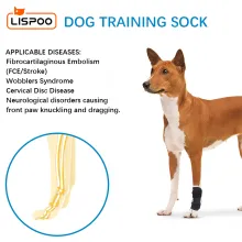 LISPOO Dog Front Leg No Knuckling Training Sock03