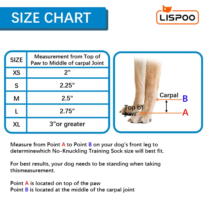 LISPOO Dog Front Leg No Knuckling Training Sock04