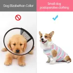 Classic Dog Stripe Pajama