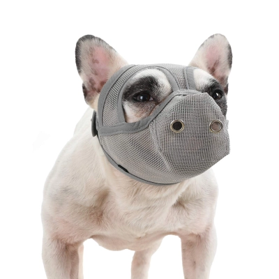Short Mouth Dog Masks 01
