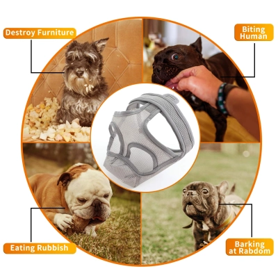 Short Mouth Dog Masks 02