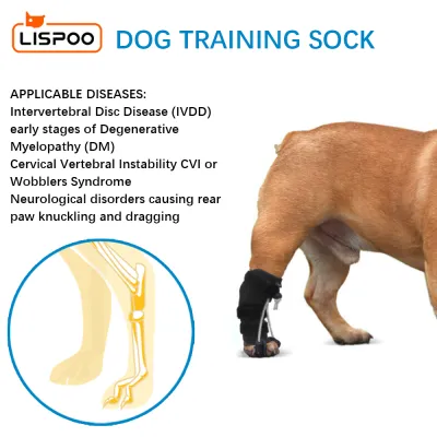 LISPOO Rear No Knuckling Training Sock For Dogs 02