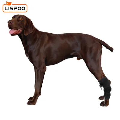 LISPOO Rear No Knuckling Training Sock For Dogs 01