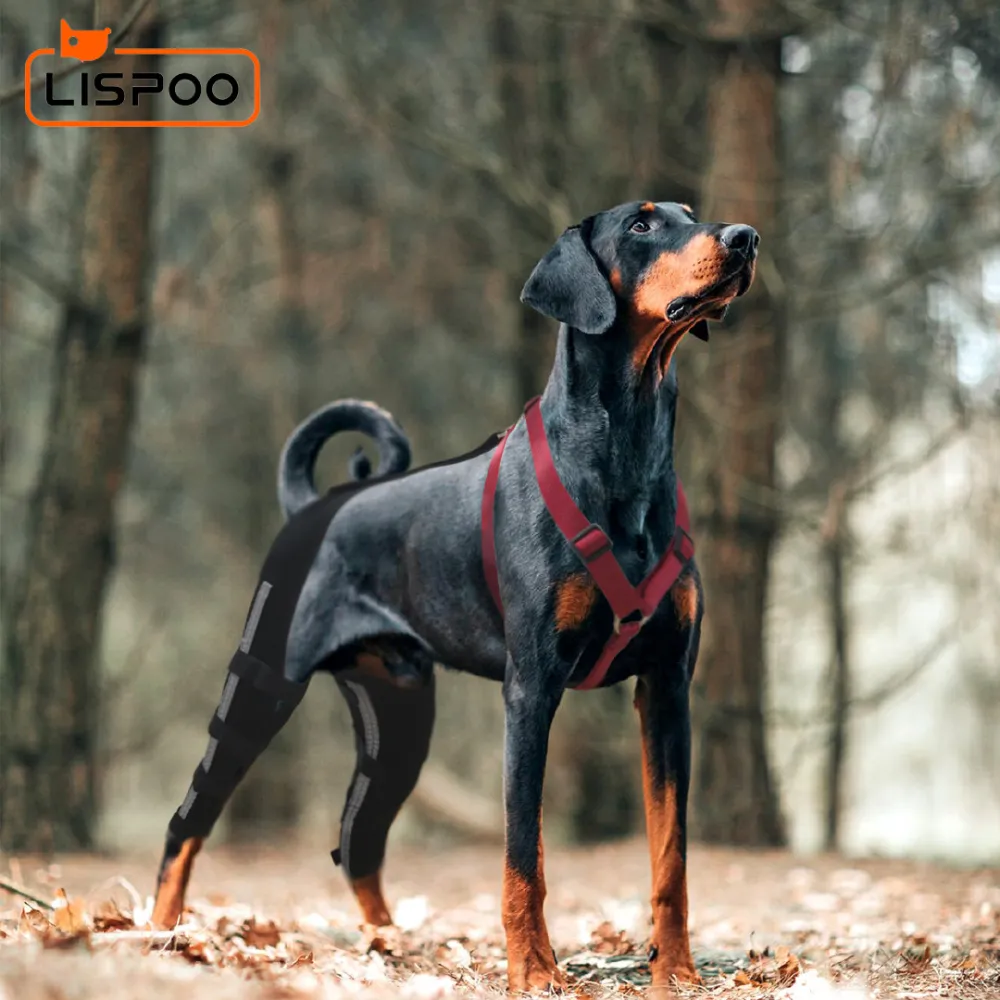 Lispoo Dog Leg Braces For Torn Acl