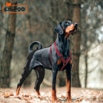 Lispoo Dog Leg Braces For Torn Acl
