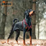 Lispoo Dog Leg Braces For Torn Acl