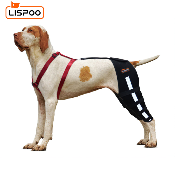 Lispoo Dog Leg Braces For Torn Acl