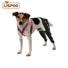 Lispoo Dog Leg Braces For Torn Acl04