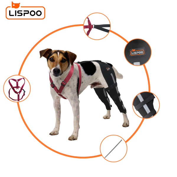 Lispoo Dog Leg Braces For Torn Acl