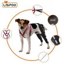 Lispoo Dog Leg Braces For Torn Acl01