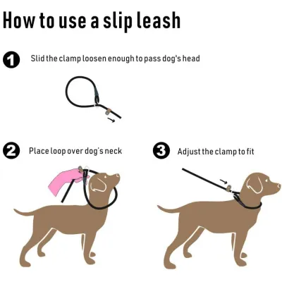 Slip Solid Rope Dog Leash 02