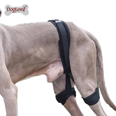 Dog Leg Braces For Hip Dysplasia 01