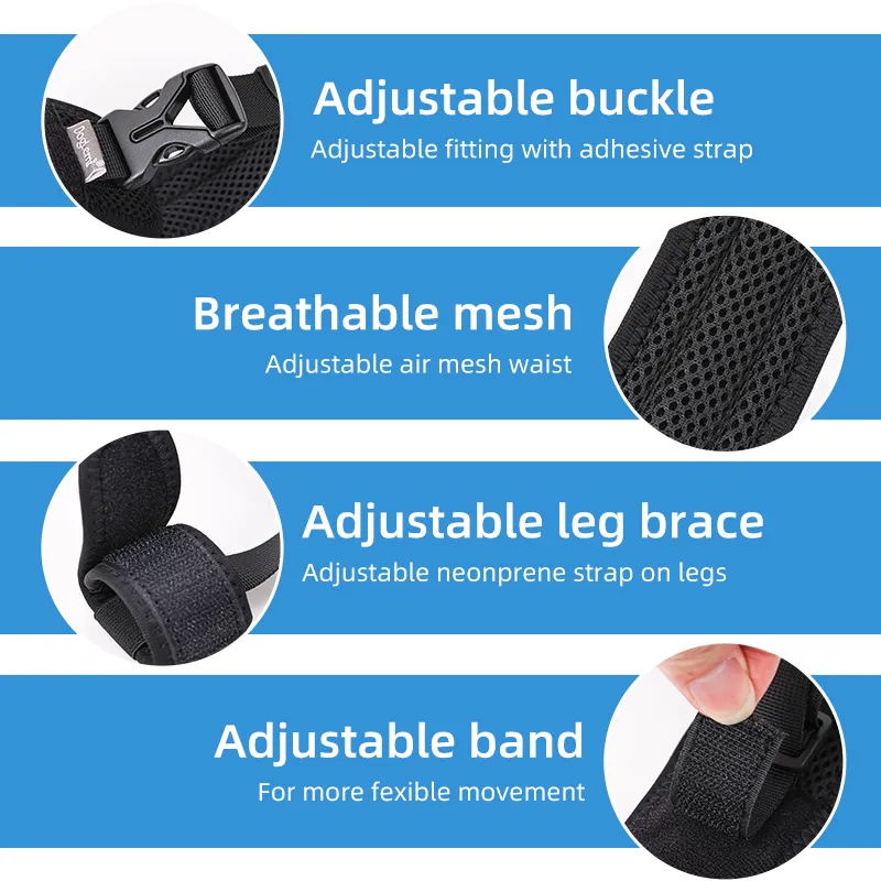 Dog Leg Braces For Hip Dysplasia02