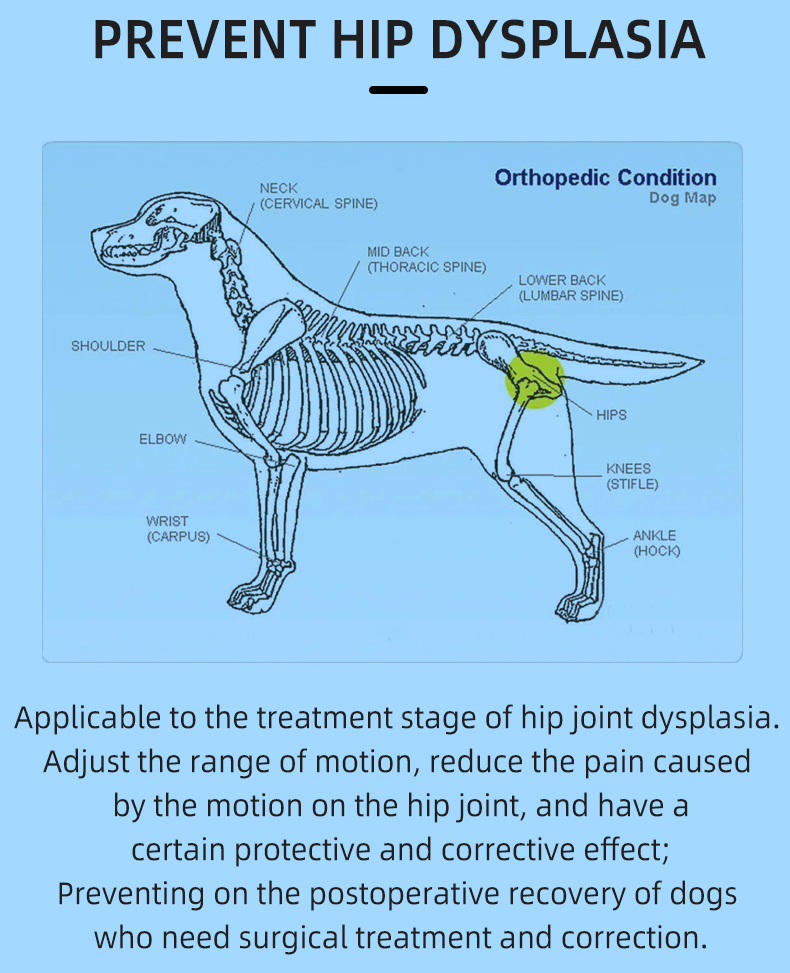 Dog Leg Braces For Hip Dysplasia - Crawlpaw