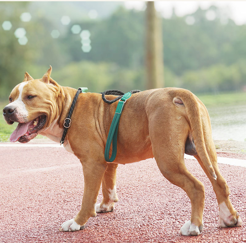 Reflective Non-Slip Lead Dog Leash
