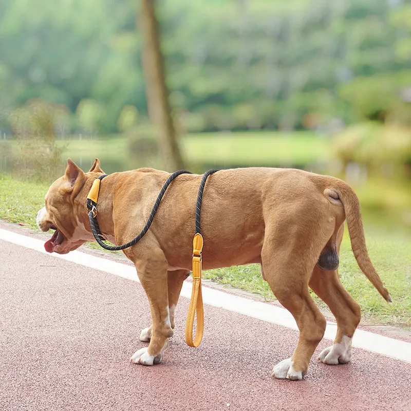 Reflective Non-Slip Lead Dog Leash08