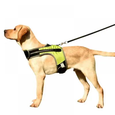Dog Harness With Led Light Reflective Strip 01