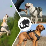 TAILUP Tactical Dog Harness