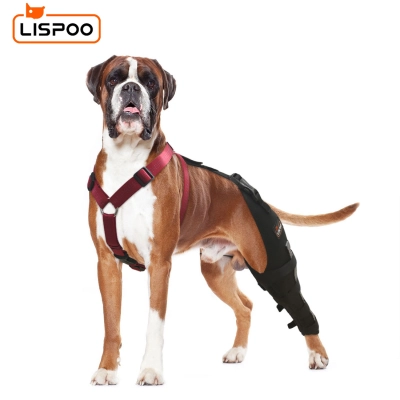 Lispoo Dog Leg Brace for Acl Injury 01