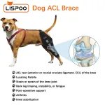Lispoo Dog Leg Brace for Acl Injury
