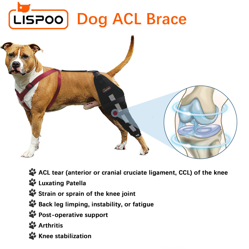 Lispoo Dog Leg Brace for Acl Injury