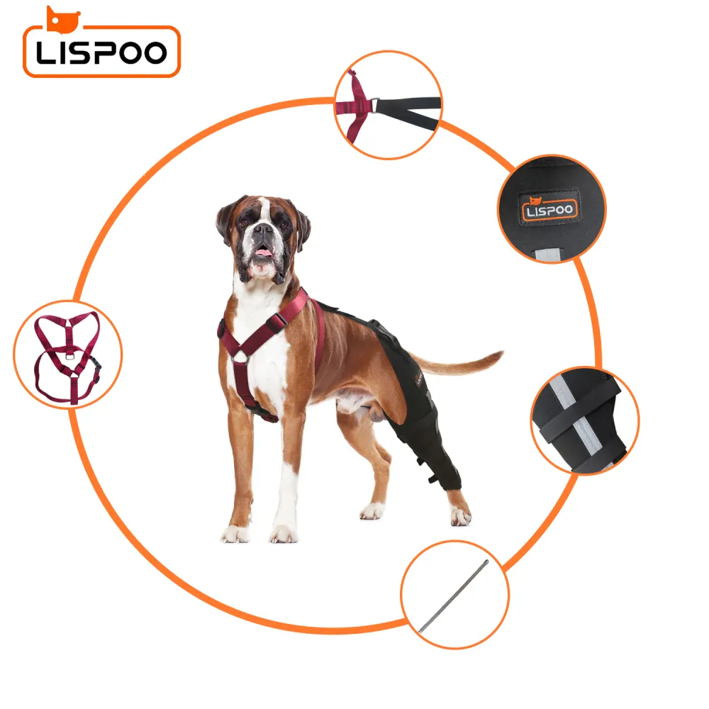 Lispoo Dog Leg Brace for Acl Injury