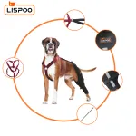 Lispoo Dog Leg Brace for Acl Injury