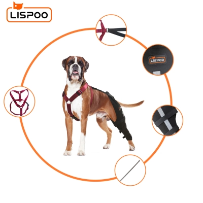 Lispoo Dog Leg Brace for Acl Injury 02