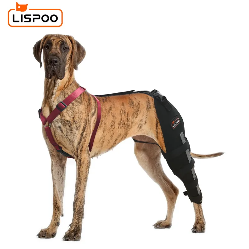 Lispoo Dog Leg Brace for Acl Injury