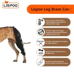 Lispoo Dog Leg Brace for Acl Injury