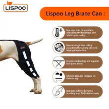 Lispoo Dog Leg Braces For Torn Acl02