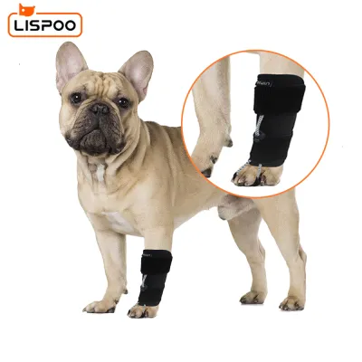 LISPOO Dog Front Leg No Knuckling Training Sock 01