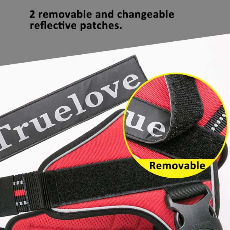 True Love Dog Harness With Handle06