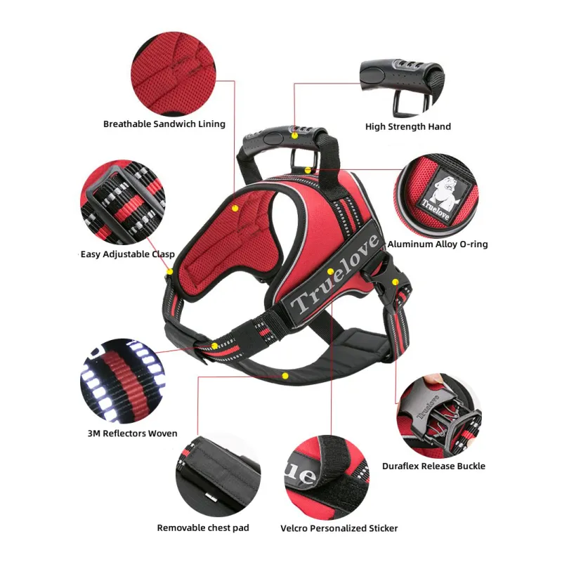 True Love Dog Harness With Handle01
