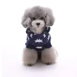 Star Shape Dog Hoodies