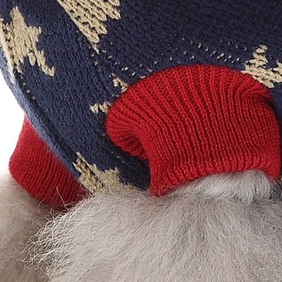 Classic Stars Dog Hoodies 02