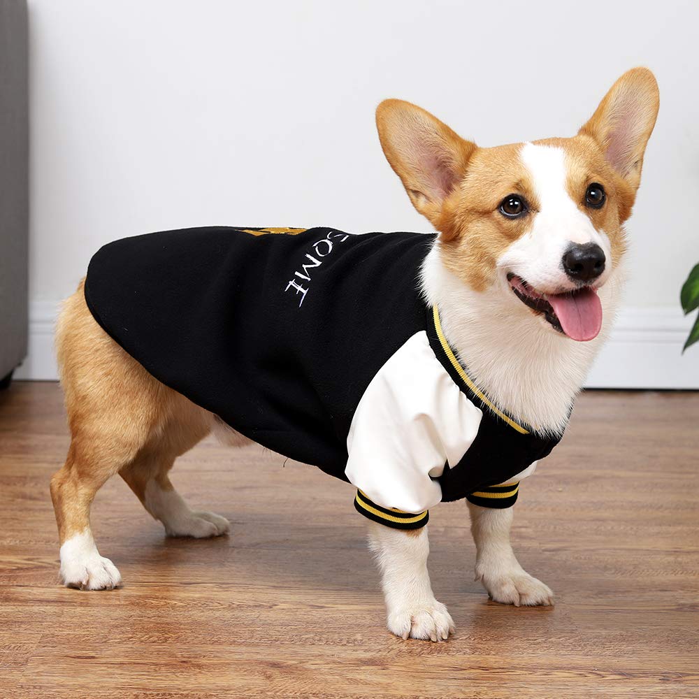 Dog Baseball Sweatshirt 
