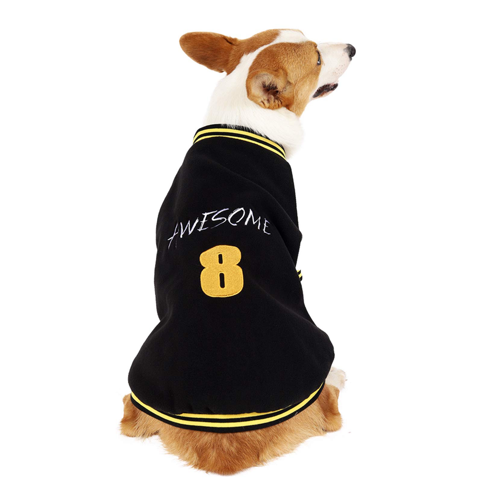 Dog Baseball Sweatshirt 