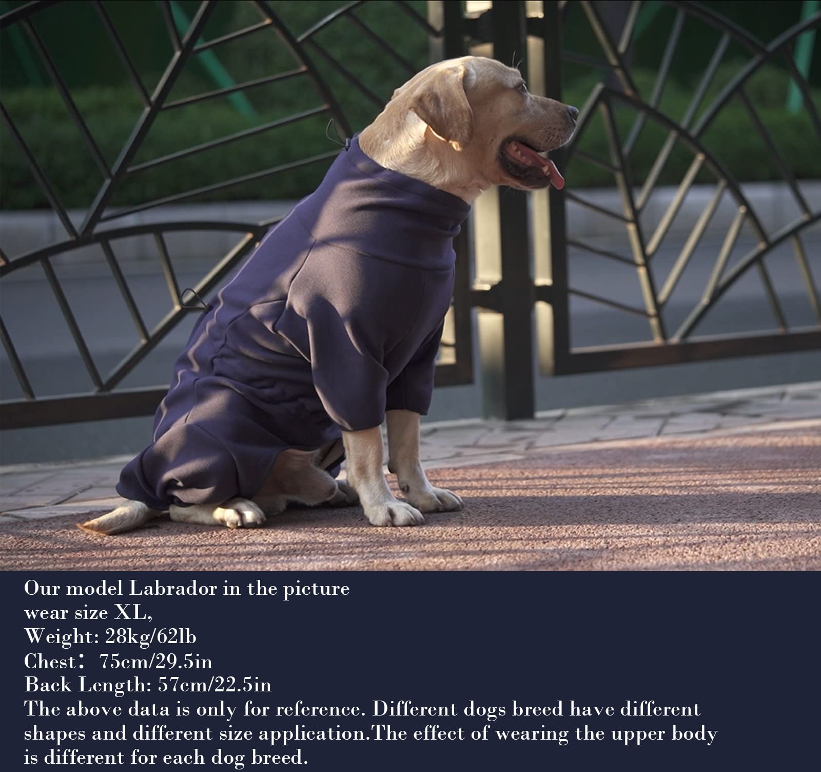 Dog Winter Thermal Onesies